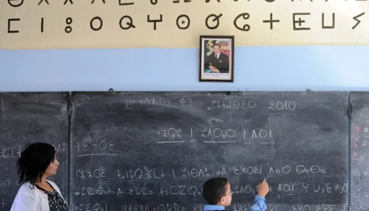 فعاليات تشكك في أرقام وزارة التربية الوطنية بشأن نسبة تدريس الأمازيغية